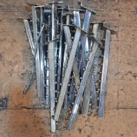 مانکن، شاخک، رگال