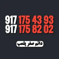 917.175.43.93