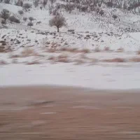 مسافردهدشت به بهبهان ساعت حرکت۴الی۴و۳۰