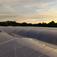 گلخانه|خدمات پیشه و مهارت|یاسوج, |دیوار