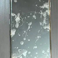 S10 plus