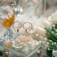 عکاسی تخصصی عروس وداماد