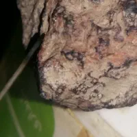 فروش سنگ|جواهرات|همدان, |دیوار