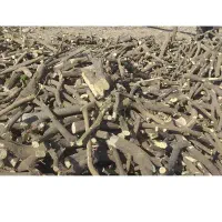 خریدار چوب مرکبات پرتقال نارنگی لیمو گرفروت