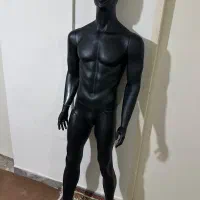 مانکن و رگال