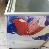 یخچال سایدون ۶۰۰لیتری