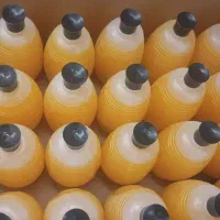 شامپو داروگر/ ۲۵/ کارتون ۴۸ عددی/ بروجرد