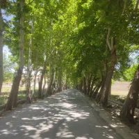 زمین باغشهری