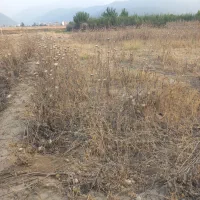 یک عددزمین باقیمت خوب بفروش میرسد|فروش دفتر صنعتی، کشاورزی، تجاری|فاضل آباد, |دیوار