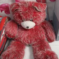 خرس بزرگ نو