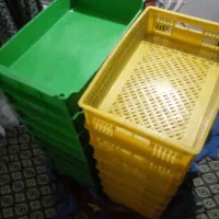 ۲۷عددسبدمیوه ۱۸عددزرد۹عددآبی