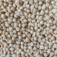 نخود فلافلی