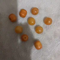 سکه .و مهره های  قدیمی|کلکسیون اشیاء عتیقه|یاسوج, |دیوار