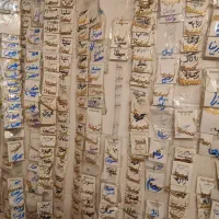 پلاک گردنبنداسم