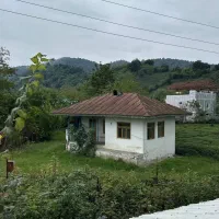 ۳هزارمتر خونه محوطه