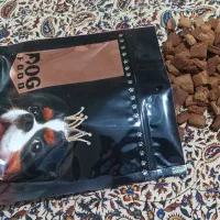 غذا خشک سگ و گربه «گوشتینه»