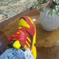 zx اسپانیا سایز ۴۰ نیم|کیف، کفش، کمربند|رباط‌کریم, شترخوار|دیوار