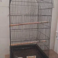 قفس عروس و کاسکو