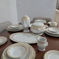 ظروف چینی پردیس