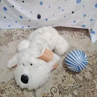 عروسک خرس و سگ بزرگ و کوچک|اسباببازی|رشت, حسین آباد|دیوار