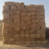 فروش کاه کلش