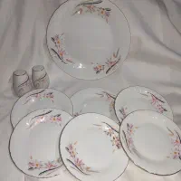 سرویس چینی|ظروف سرو و پذیرایی|گلستان (تهران), |دیوار