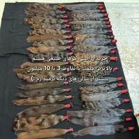 ..فروش موهای طبیعی انسان مرکزی شعبه کشوری کد ۹۰۱۲