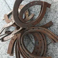 نعل اسب