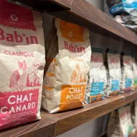 کلینیک حیوانات خانگی پت جوینت