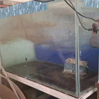 آکواریوم فروشی