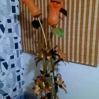 چراغ خواب|چراغ خواب و آباژور|ملایر, |دیوار