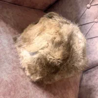 کلاه زنانه|لباس|تبریز, |دیوار