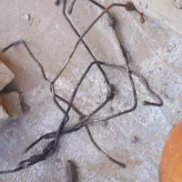 لوازم کاویان۱۰۶|قطعات یدکی و لوازم جانبی|تربت‌حیدریه, طالقانی|دیوار