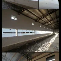 کاشی‌کاری و سنگ‌کاری