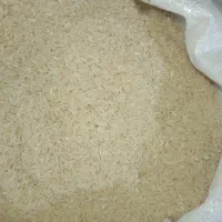 برنج فجر سوزنی