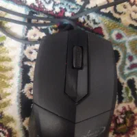 ماوس|قطعات و لوازم جانبی رایانه|خوی, |دیوار