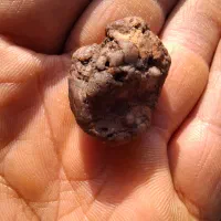 شهاب سنگ سنگ قیمتی|کلکسیون و سرگرمی|رشت, بازار|دیوار