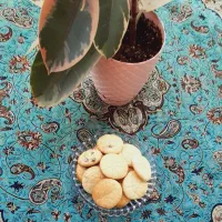 شیرینی کشمشی برای فروش مغازه و فروشگاه