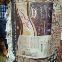 کناره رنگ سرمه برندشونهر المان