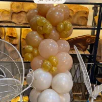 بادکنک ارایی اقتصادی متری ۱۵۰ و دیزاین تولد