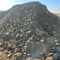 اگه باغ داری الان وقتشه|گل و گیاه طبیعی|نیشابور, شهرک فیروزه|دیوار