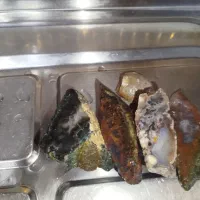 سنگ های شجر خوب|جواهرات|قزوین, |دیوار