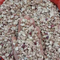 لوبیا *شکسته* چیتی *ایرانی* نصفه مناسب آش شله|خوردنی و آشامیدنی|مشهد, امامیه (شهرک غرب)|دیوار