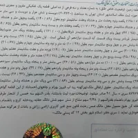 فروش یک قعطه زمین ۱۱۳۹ متر مربعی در اسلامشهر|فروش زمین و ملک کلنگی|باغستان, |دیوار