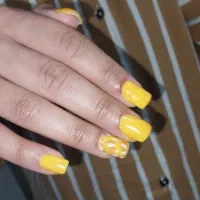 مدل ژلیش ، کاشت