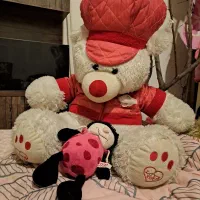 انواع عروسک تدی برای ولنتاین