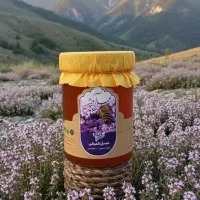 عسل آویشن دماوند (اعلاء)|خوردنی و آشامیدنی|قم, چهار مردان|دیوار