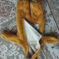 سرهمی نو|کفش و لباس بچه|بیرجند, |دیوار