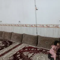 پشتی دست دوم|پشتی|گلستان (تهران), |دیوار