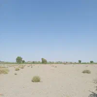 اجاره  ۲هکتار زمین کشاوزی|فروش دفتر صنعتی، کشاورزی، تجاری|کهنوج, |دیوار